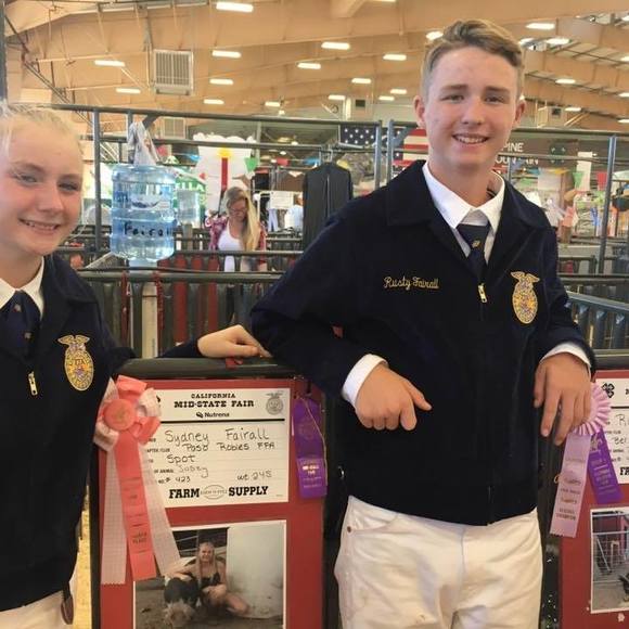 Meet your Posher, Rusty - Picture 1 of 1